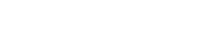 Veikong